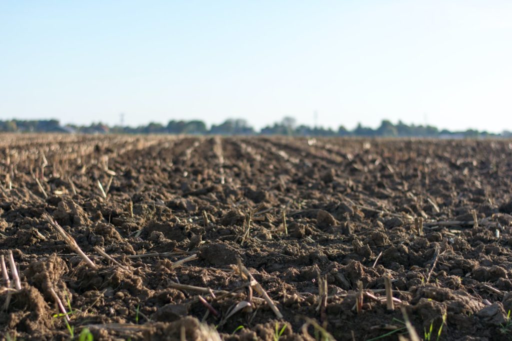 Soil Prep